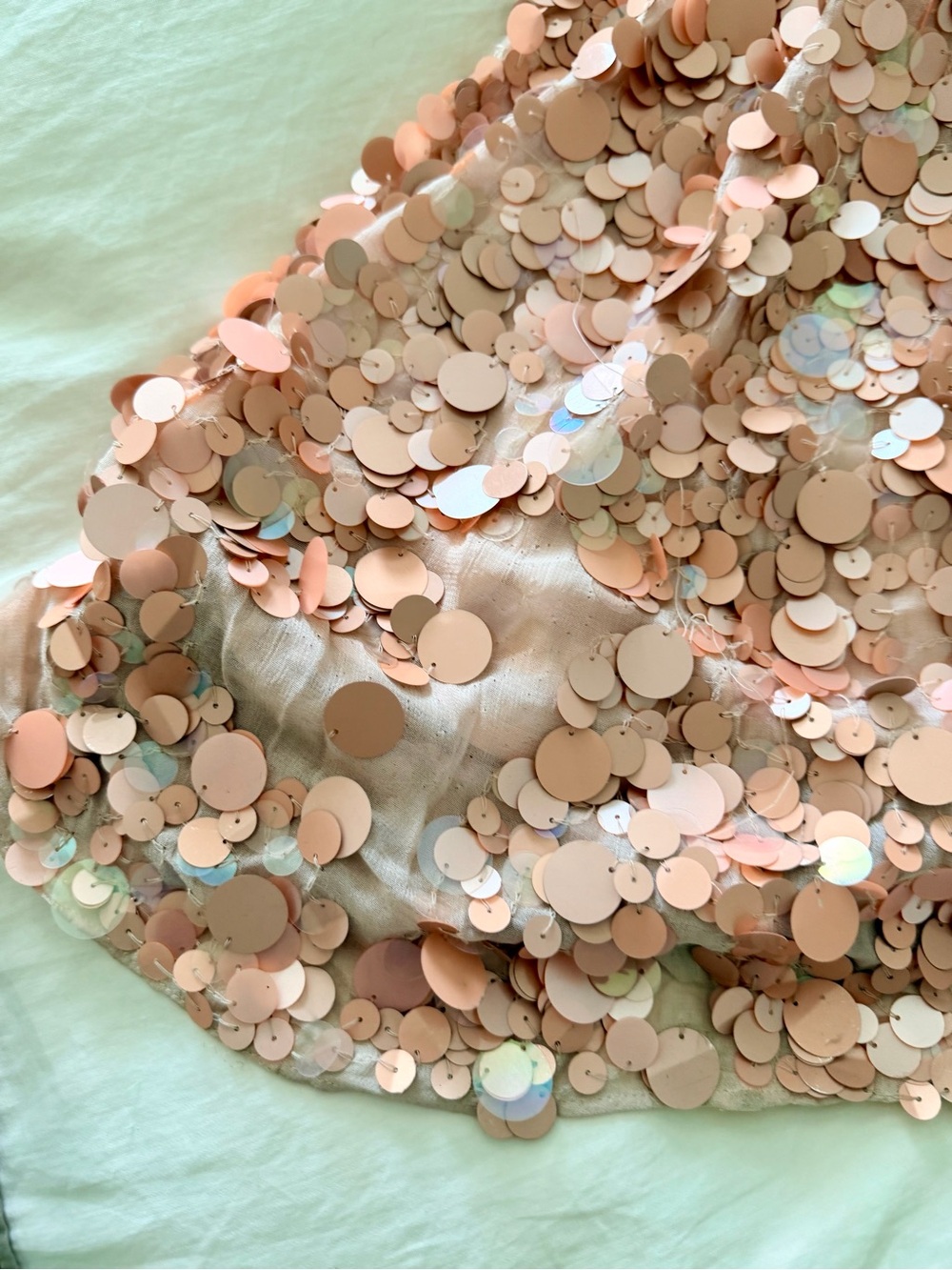 LovesShackFancy Blush Pink Sequin Maxi Dress - Picture 11 of 13